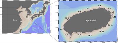 Factors controlling the distribution of dissolved organic carbon and nitrogen in the coastal waters off Jeju Island